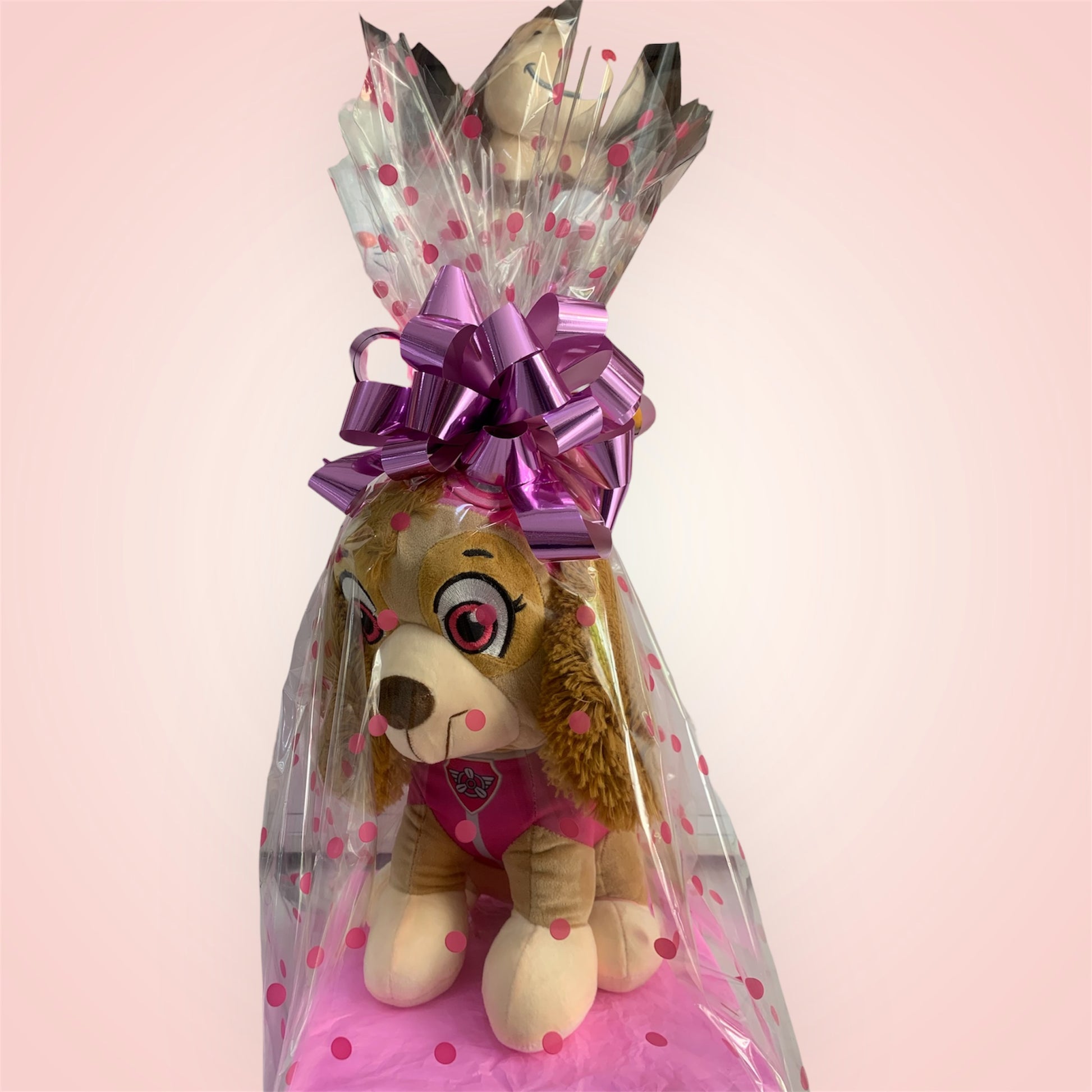 Empaques (Se Ajusta a Tu Prepuesto)